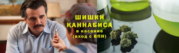 дживик Абаза