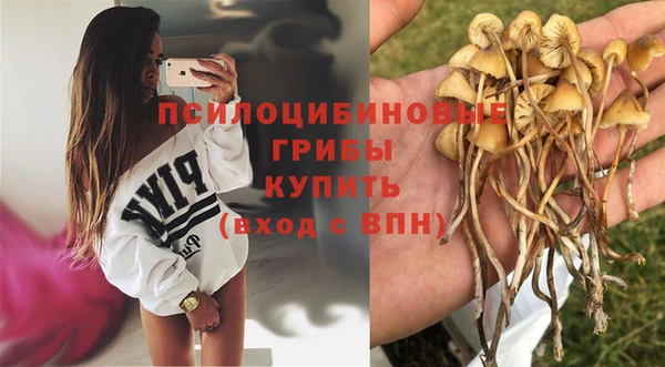 дживик Киров