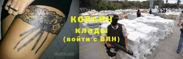 тгк Абинск